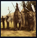Image:Bear_Cavalry.PNG