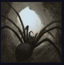 Image:Cave_Arachnid.PNG